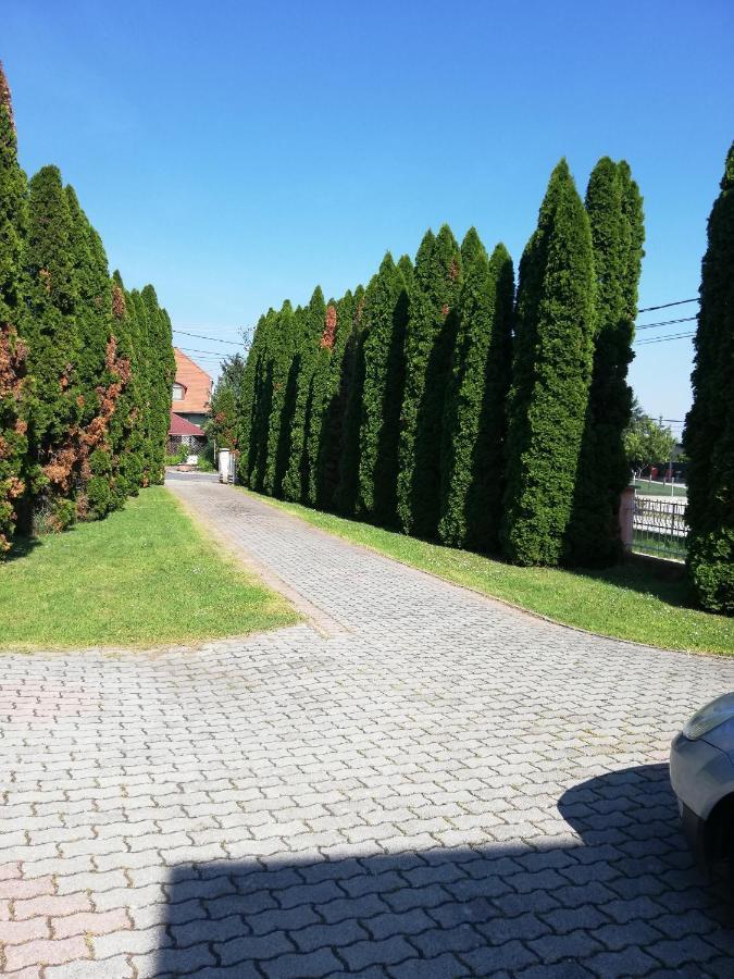 Berkenye Apartman Lejlighed Zalakaros Eksteriør billede